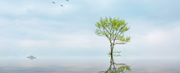 2025考研網(wǎng)報(bào)信息_考研網(wǎng)上確認(rèn)_現(xiàn)場(chǎng)確認(rèn)_網(wǎng)報(bào)公告：江蘇省2025年全國碩士研究生招生考試關(guān)于網(wǎng)上報(bào)名、確認(rèn)和準(zhǔn)考證打印等注意事項(xiàng)