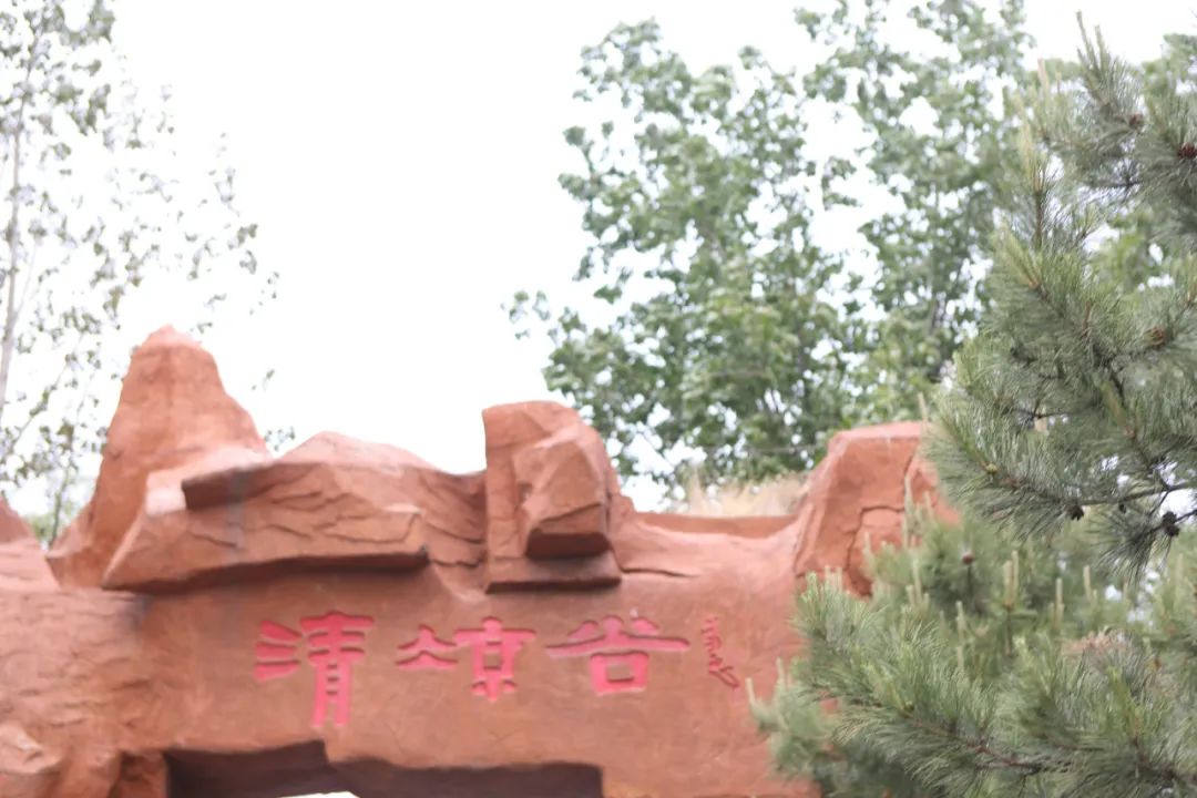 立足當“夏”，覓清涼 | 社科賽斯考研“清涼谷”團建之旅！